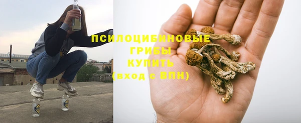 дмт Алексеевка