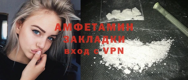 хмурый Алексин
