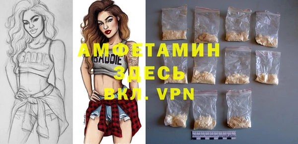 ECSTASY Алзамай