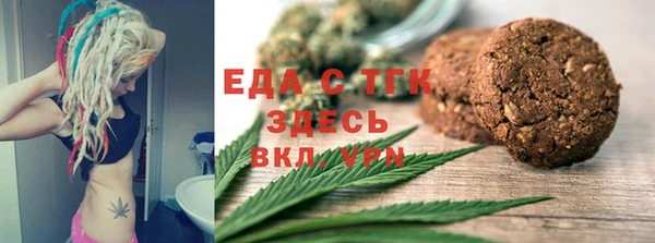 хмурый Алексин