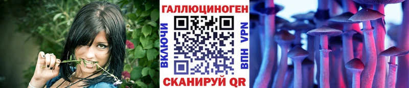 купить наркотик  Слюдянка  Галлюциногенные грибы MAGIC MUSHROOMS 